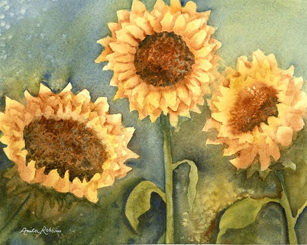 3Sunflowers