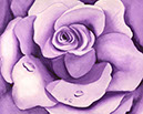 Purple-petals