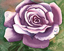 Plum-purple-rose